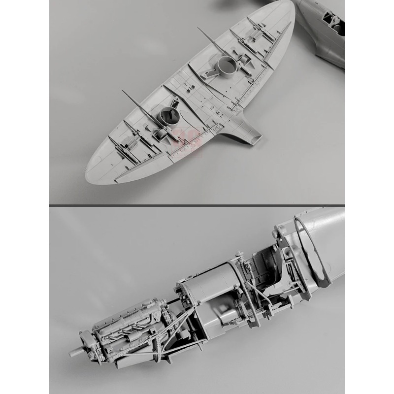 Border  1/35 BF-004 Spitfire F - đánh giá và giá Model Kit Spitfire
