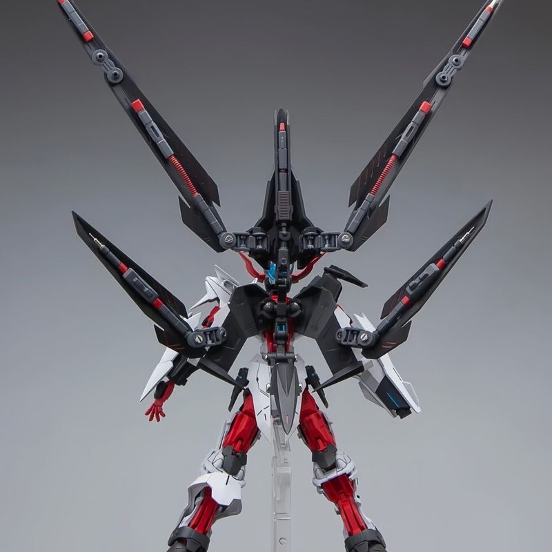 HG 1/144 Astray No-Name Astray - đánh giá và giá Model Kit Gundam Mg