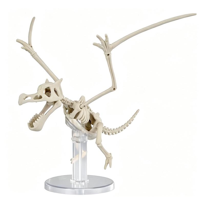 Bandai Pokemon Plastic Model D - đánh giá và giá Model Kit Rayquaza